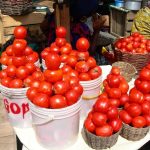 Ho West Residents Split on Burkina Faso Tomato Export Ho West Residents Split on Burkina Faso Tomato Export