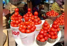 Ho West Residents Split on Burkina Faso Tomato Export Ho West Residents Split on Burkina Faso Tomato Export