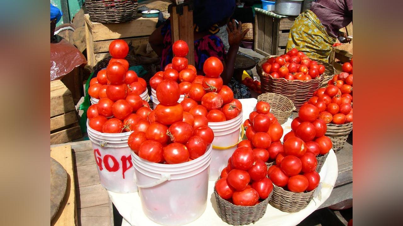 Ho West Residents Split on Burkina Faso Tomato Export Ho West Residents Split on Burkina Faso Tomato Export