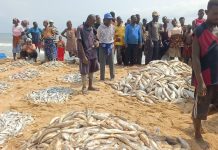 Ghana’S Declining Fish Stocks and Marine Protected Areas Ghana'S Declining Fish Stocks and Marine Protected Areas
