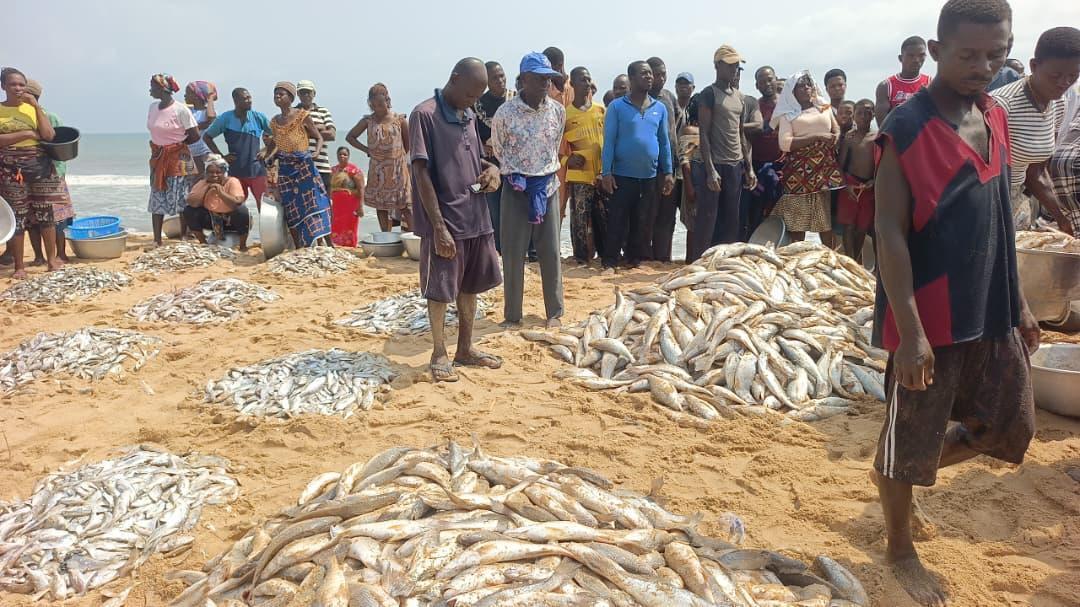 Ghana'S Declining Fish Stocks and Marine Protected Areas Ghana'S Declining Fish Stocks and Marine Protected Areas