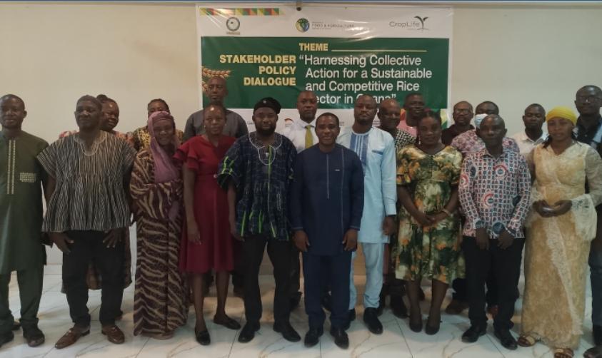 Stakeholders Advocate for Better Coordination in Rice Industry Stakeholders Advocate for Better Coordination in Rice Industry