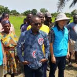 CSIR-CRI Raises Alarm over Ghana’S Rice Sufficiency CSIR-CRI Raises Alarm over Ghana’S Rice Sufficiency