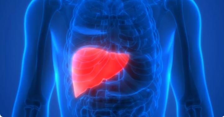 Suisse: l’utilisation d’une machine à perfusion a permis la transplantation d’un foie humain après 3 jours hors du corps Suisse: l’utilisation d’une machine à perfusion a permis la transplantation d’un foie humain après 3 jours hors du corps