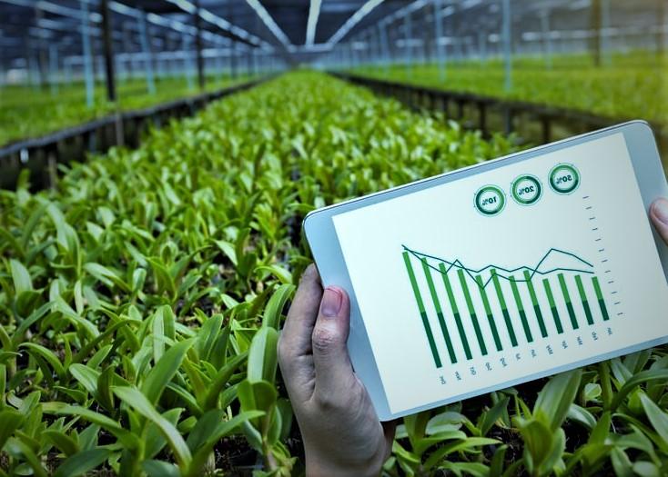 Afrique : à peine 75 millions USD levés par les agri fintech africaines en 2021 Afrique : à peine 75 millions USD levés par les agri fintech africaines en 2021