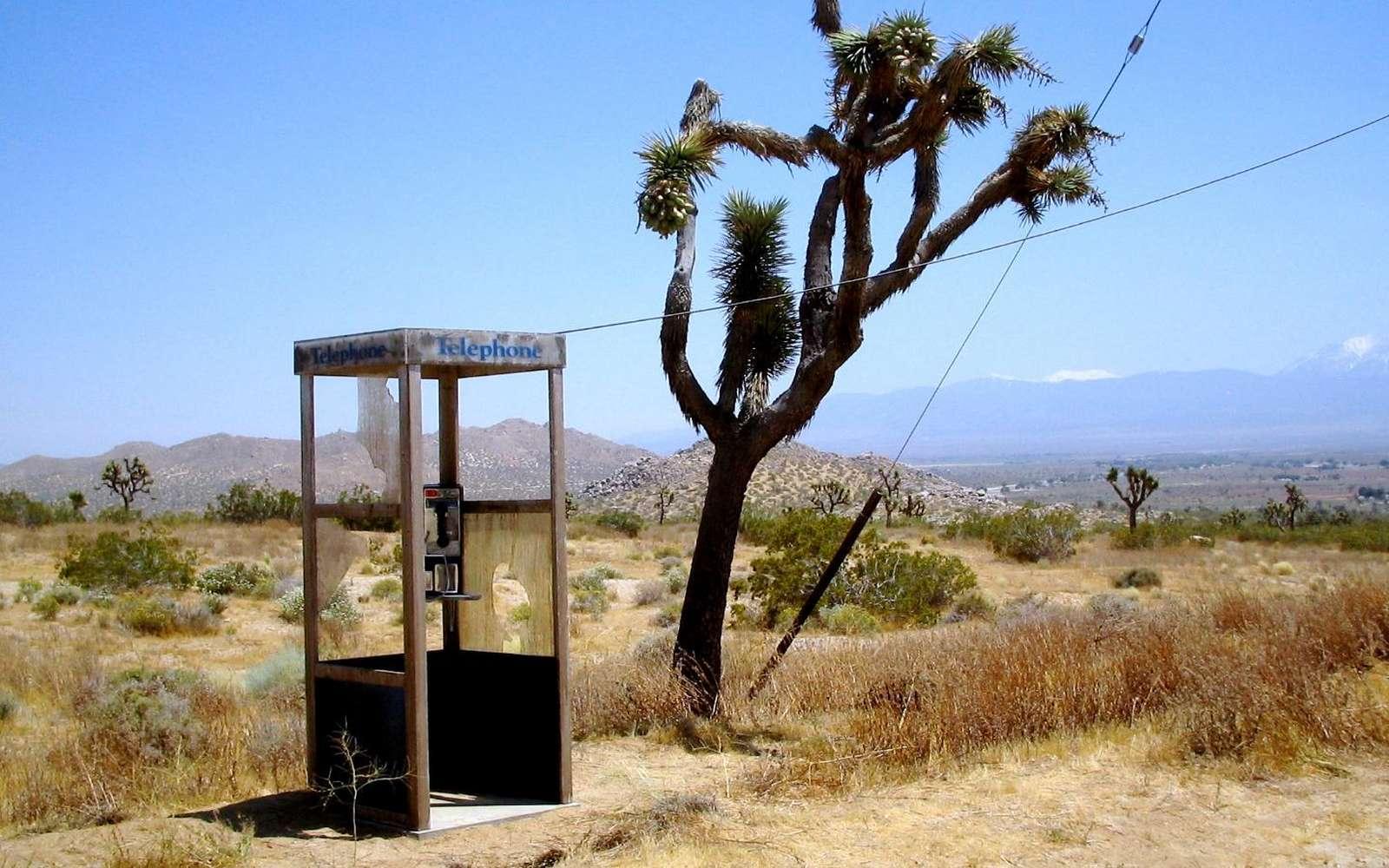 La belle histoire de la cabine téléphonique de Mojave