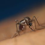 SANTE – 5 conseils pour éviter les problèmes cardiaques SANTE – 5 conseils pour éviter les problèmes cardiaques