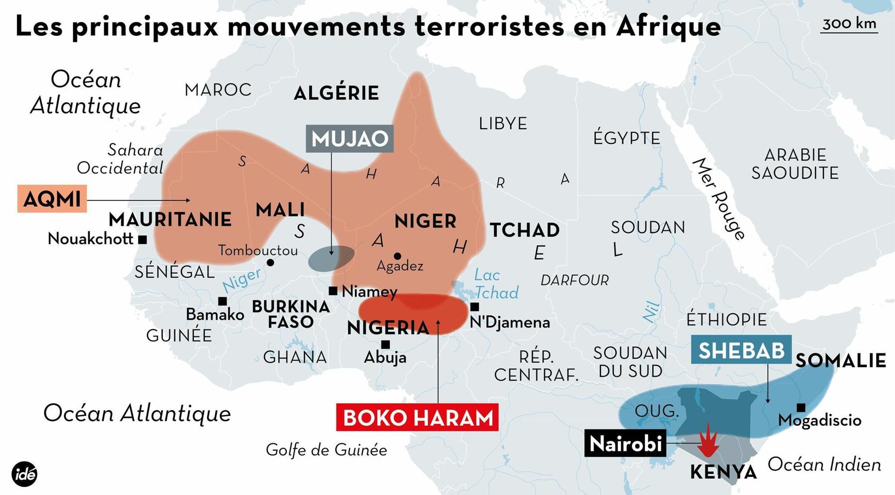 Les groupes armés en Afrique : perspectives et stratégies de leur expansion sur le continent