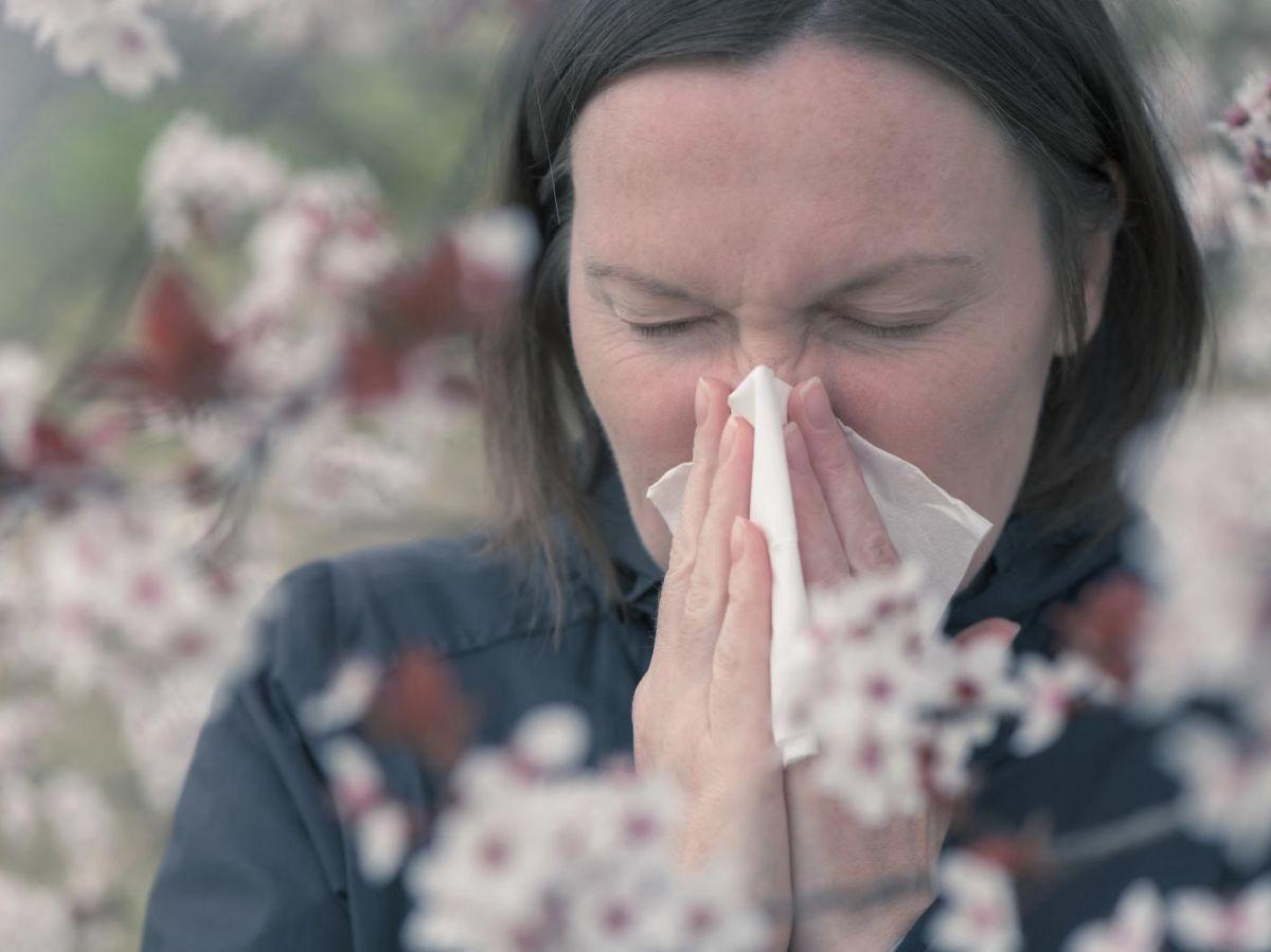 Pourquoi sommes-nous de plus en plus allergiques ?