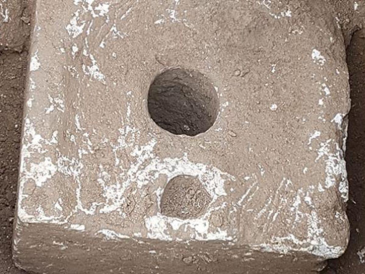 Les parasites intestinaux responsables de la diarrhée étaient endémiques à Jérusalem pendant la période biblique Les parasites intestinaux responsables de la diarrhée étaient endémiques à Jérusalem pendant la période biblique