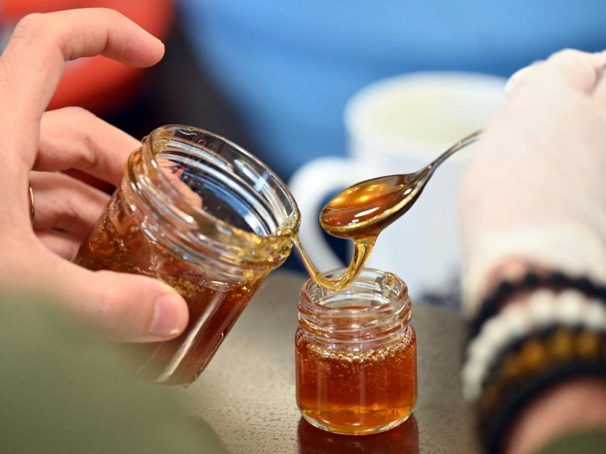 L’oxymel, un mélange de miel et de vinaigre connu depuis des siècles, est-il vraiment efficace contre les infections ? L’oxymel, un mélange de miel et de vinaigre connu depuis des siècles, est-il vraiment efficace contre les infections ?