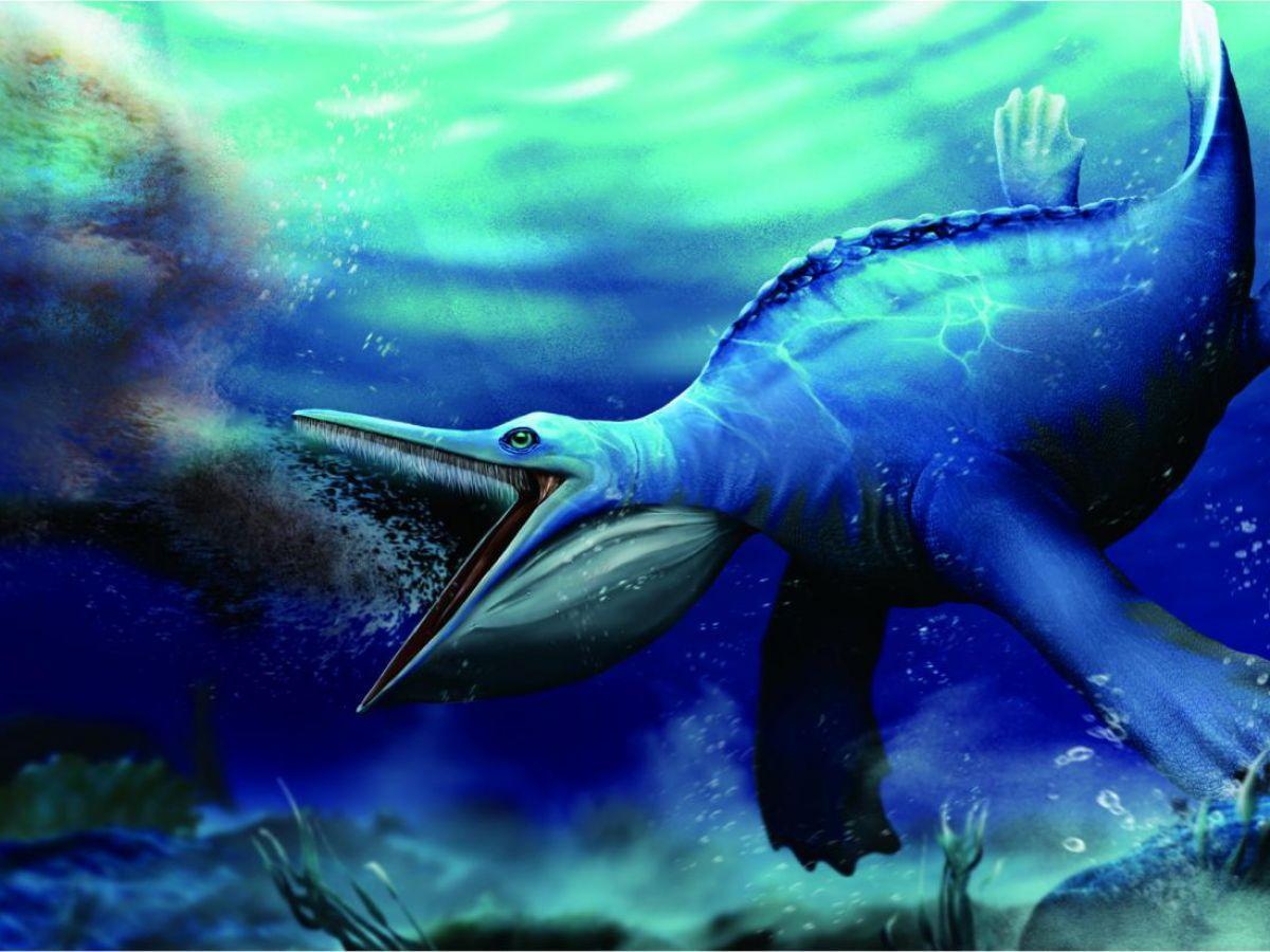 Il y a 249 millions d’années, ce reptile marin se nourrissait comme une baleine