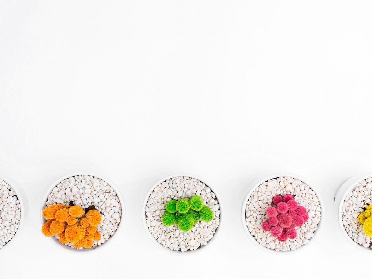 Découverte : au-delà de quatre, notre cerveau estime les quantités avec un système distinct Découverte : au-delà de quatre, notre cerveau estime les quantités avec un système distinct