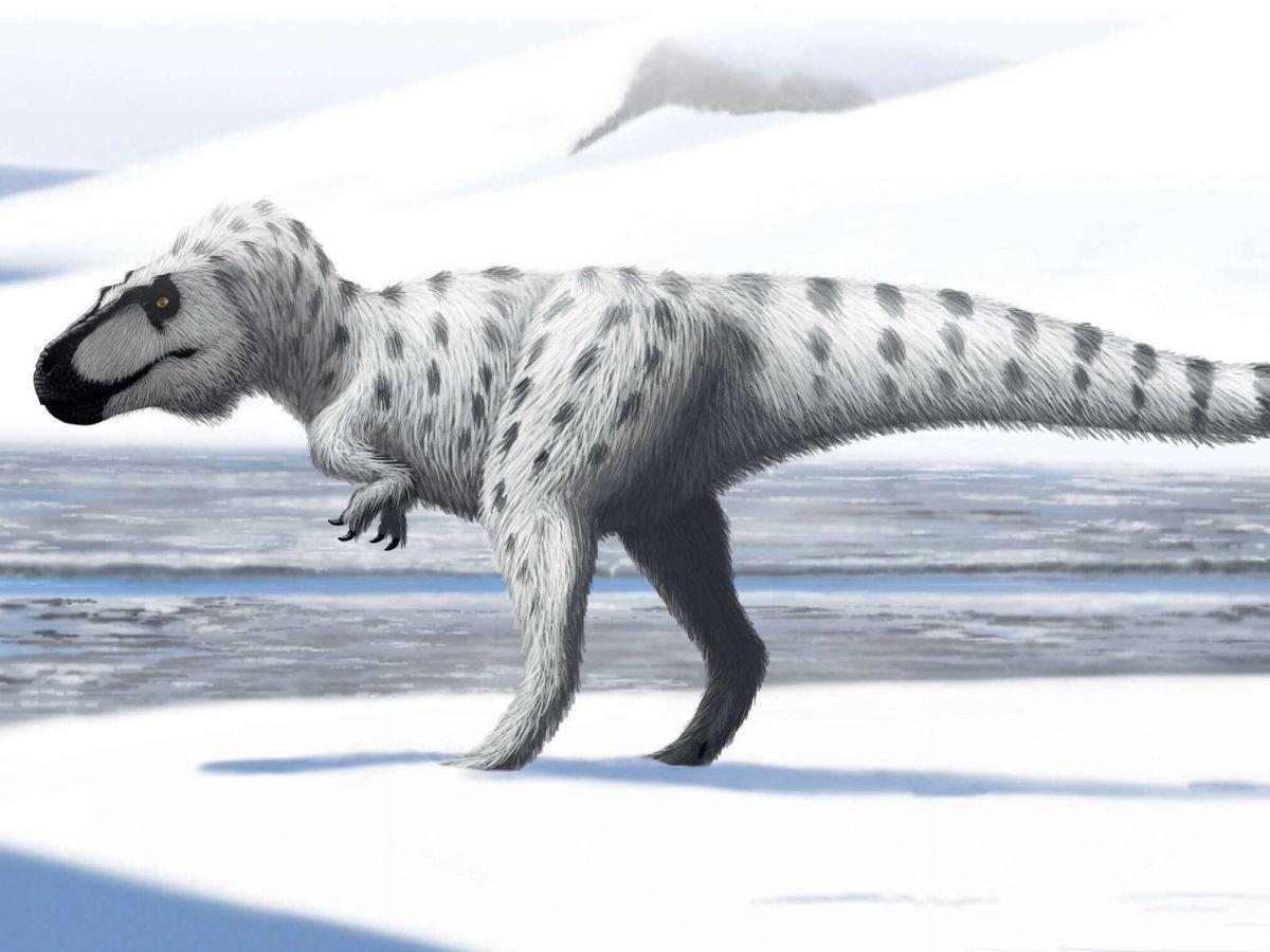 Ces dinosaures qui venaient du froid Ces dinosaures qui venaient du froid