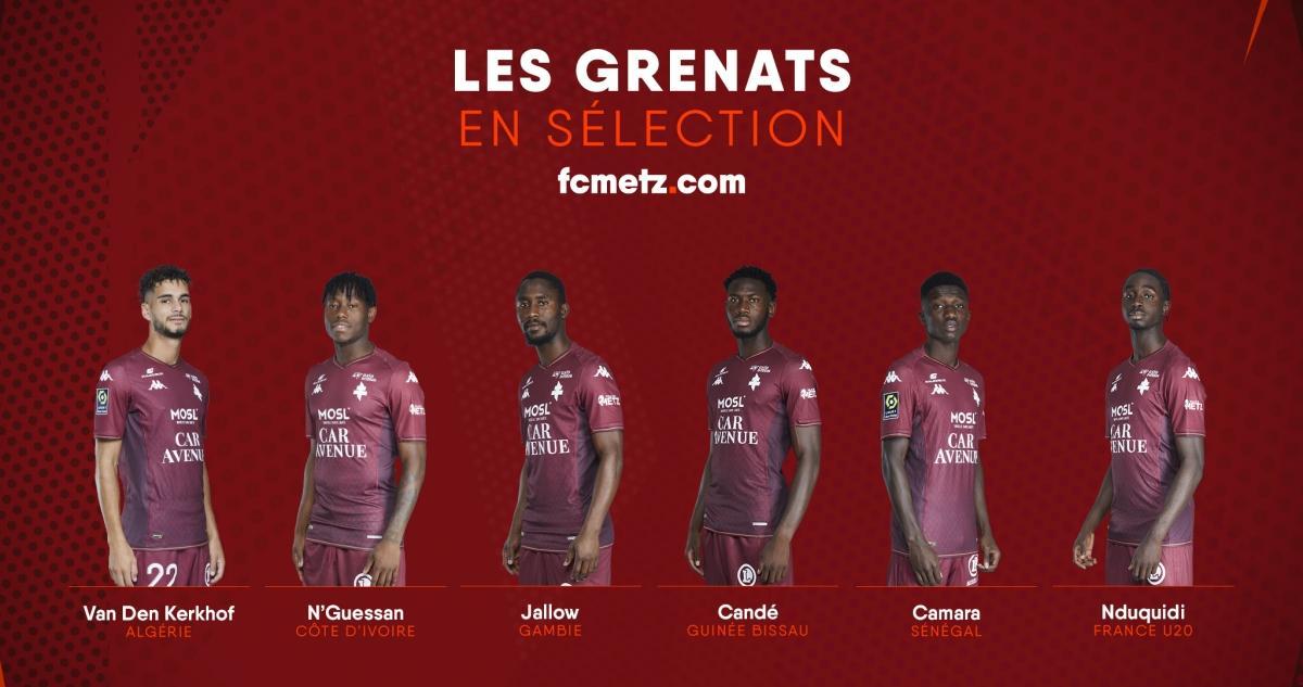 Le programme des Grenats en sélection Le programme des Grenats en sélection