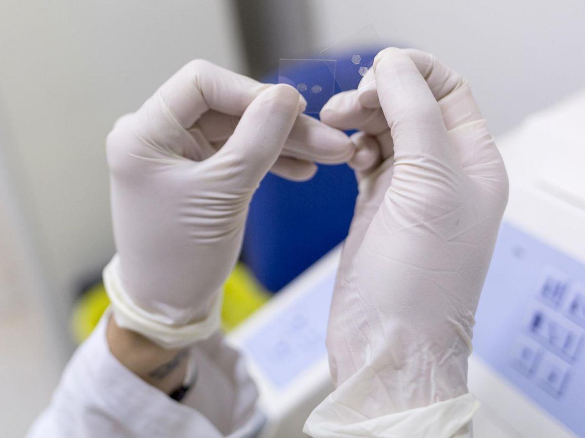 REPORTAGE. Au cœur de l’un des “bras armés” du Téléthon REPORTAGE. Au cœur de l’un des “bras armés” du Téléthon