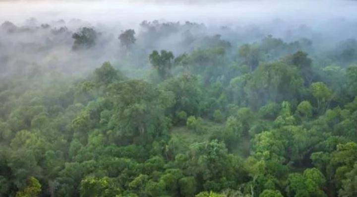 Suède- PNUD : plus de 28 millions USD pour des investissements climatiques privés en Afrique Suède- PNUD : plus de 28 millions USD pour des investissements climatiques privés en Afrique