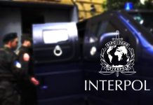 Afrique de l’Ouest/Crime organisé: 300 personnes arrêtées par Interpol Afrique de l'Ouest/Crime organisé: 300 personnes arrêtées par Interpol