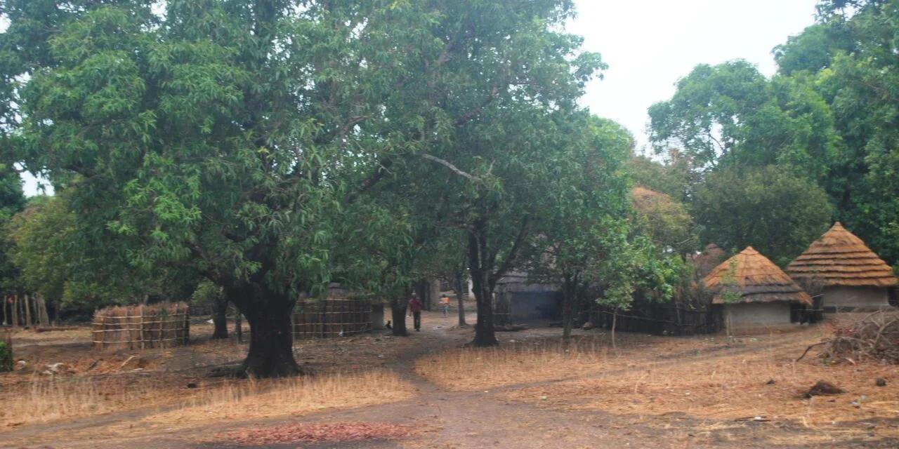 19 Écoles Publiques Fermées dans le Secteur de Boé par Manque de Professeurs 19 Écoles Publiques Fermées dans le Secteur de Boé par Manque de Professeurs