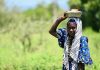 L’Afrique Face à Sa Plus Grande Crise Alimentaire L'Afrique Face à Sa Plus Grande Crise Alimentaire
