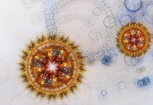 Origines du Covid-19 et Éléments Étranges Semeurs de Doute Origines du Covid-19 et Éléments Étranges Semeurs de Doute