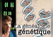Généalogie Génétique: Solution aux Cold Cases ou Menace? Généalogie Génétique: Solution aux Cold Cases ou Menace?