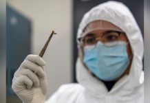 Raisons de la Longévité des Pandémies de Peste Raisons de la Longévité des Pandémies de Peste