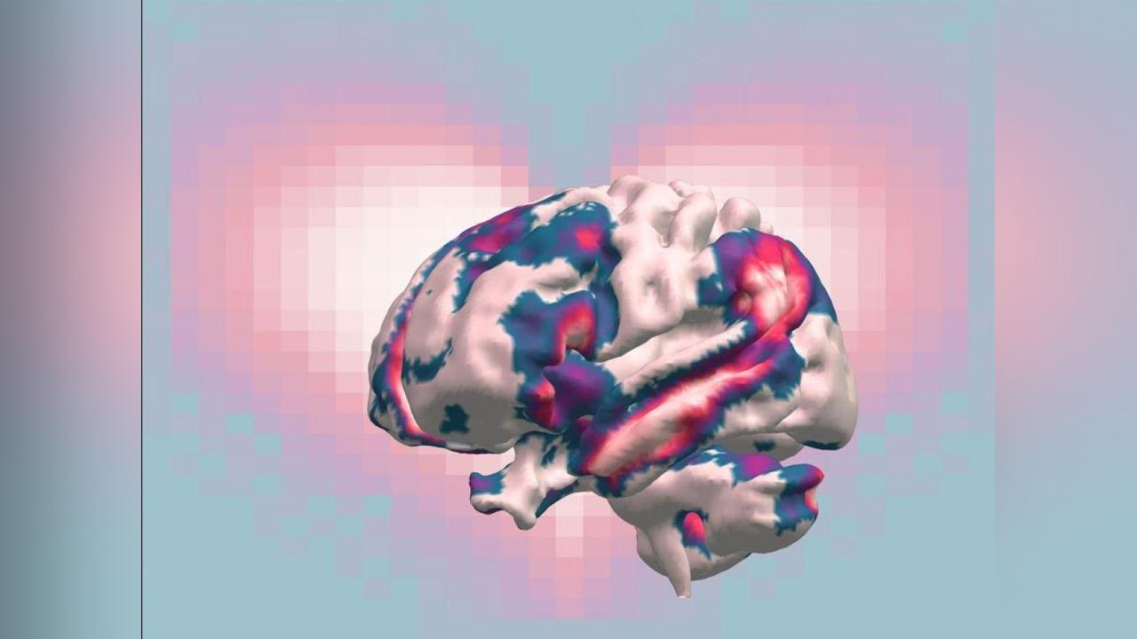 Amour Romantique, Parental, Amical ou Animal: le Plus Fort? Amour Romantique, Parental, Amical ou Animal: le Plus Fort?