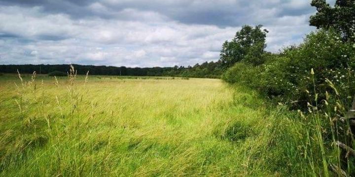 Restaurer les Puits de Carbone pour Sauver le Climat Restaurer les Puits de Carbone pour Sauver le Climat