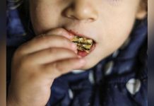 Unicef Alerte sur les Dangers des Aliments Ultra-Transformés Unicef Alerte sur les Dangers des Aliments Ultra-Transformés