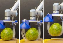 Un Robot Préhensible Inspiré des Plantes Grimpantes Un Robot Préhensible Inspiré des Plantes Grimpantes