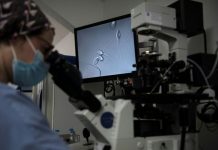 PMA GPA IA Lancement des Etats Généraux Bioéthique PMA GPA IA Lancement des Etats Généraux Bioéthique