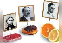 Effets de L’Alimentation sur la Santé Effets de L’Alimentation sur la Santé