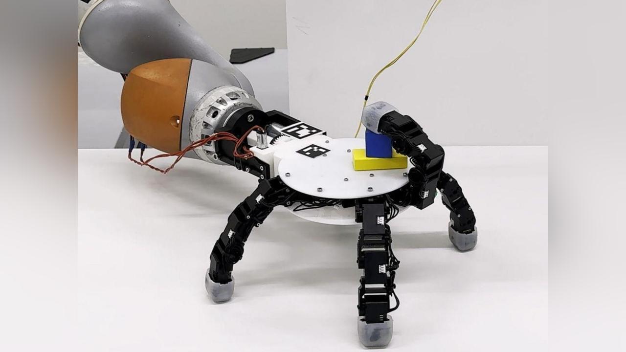 Main Robotique Plus Habile que la Main Humaine Main Robotique Plus Habile que la Main Humaine