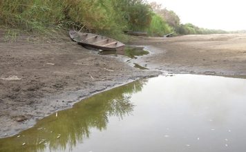Soudan: la Baisse du Nil Ruine les Récoltes Soudan: la Baisse du Nil Ruine les Récoltes