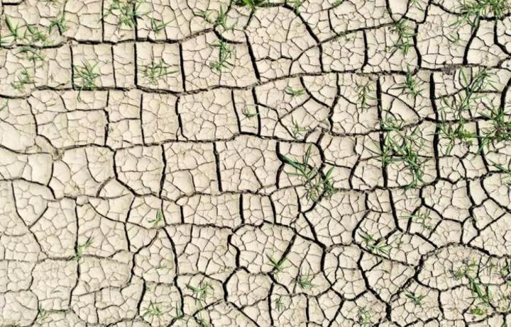 Vagues de chaleur : le Sahel et la Corne de l’Afrique deviendront “inhabitables” au cours des prochaines décennies, selon l’ONU Vagues de chaleur : le Sahel et la Corne de l’Afrique deviendront “inhabitables” au cours des prochaines décennies, selon l’ONU