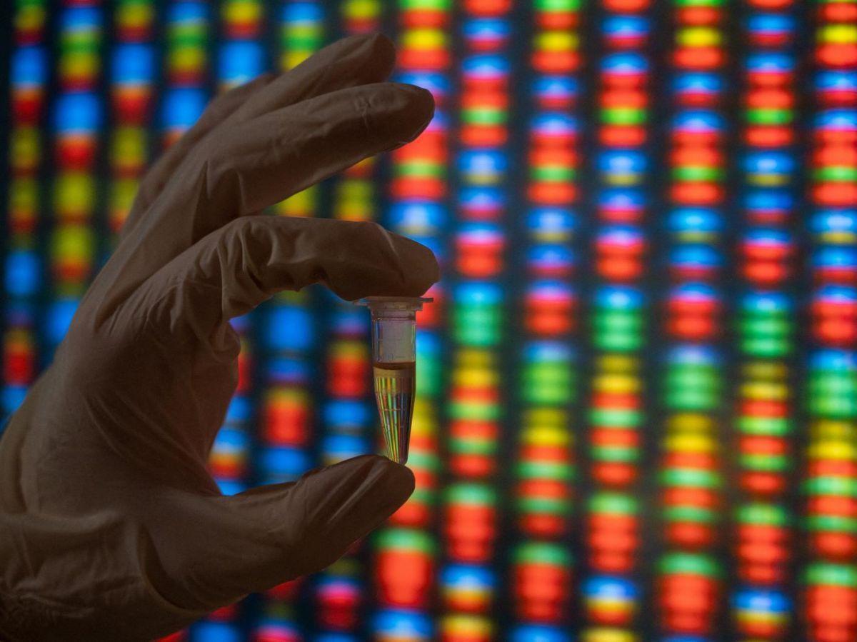 Une nouvelle base de données se penche sur les gènes méconnus Une nouvelle base de données se penche sur les gènes méconnus