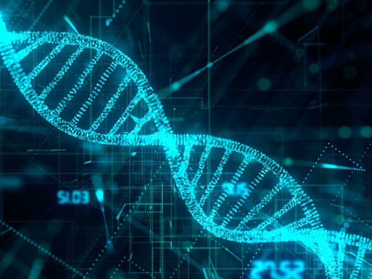 L’ADN, nouveau support de stockage numérique