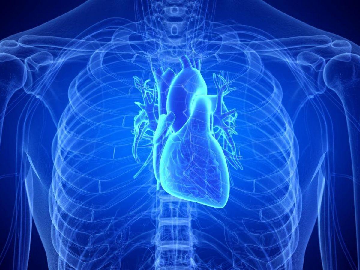 Des ultrasons pour soigner le cœur Des ultrasons pour soigner le cœur