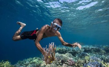 Coraux en Péril : État des Lieux D’Un Écosystème en Danger Coraux en Péril : État des Lieux D’Un Écosystème en Danger