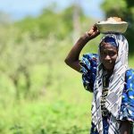 L’Afrique Face à Sa Plus Grande Crise Alimentaire L'Afrique Face à Sa Plus Grande Crise Alimentaire