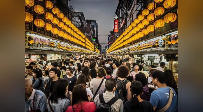 Humains Plus Actifs que Animaux Sauvages Terrestres Humains Plus Actifs que Animaux Sauvages Terrestres
