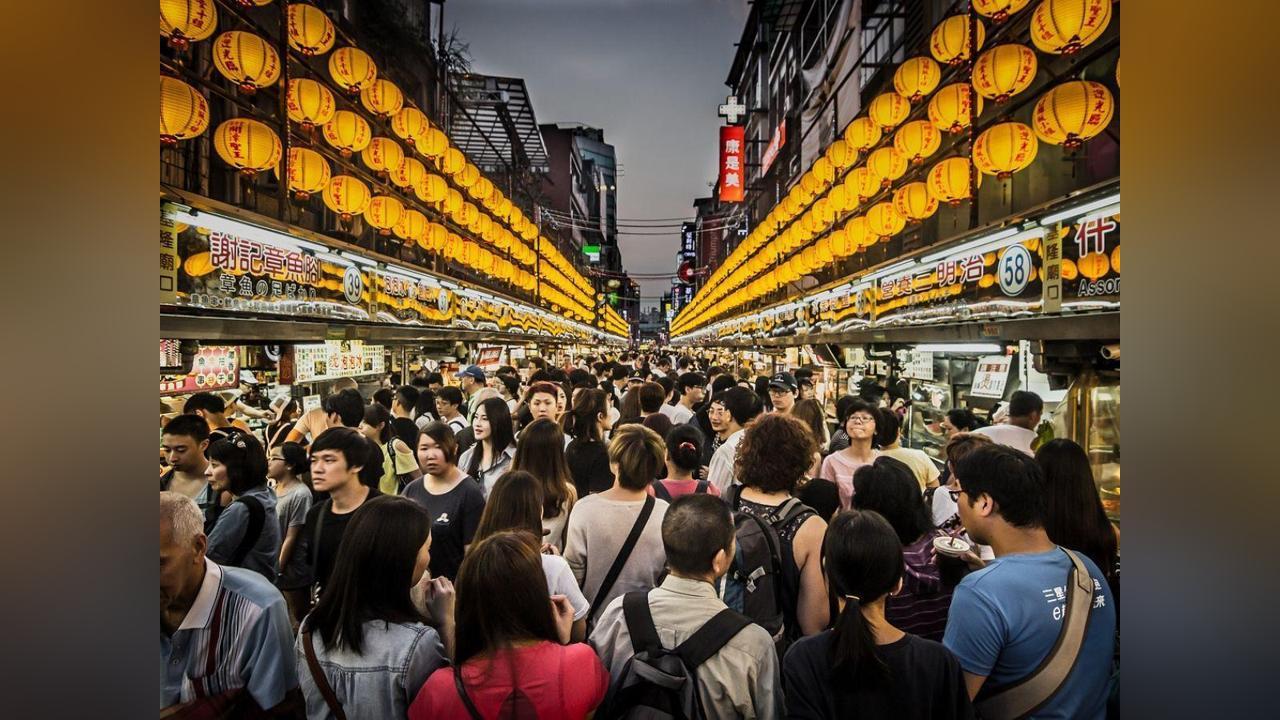 Humains Plus Actifs que Animaux Sauvages Terrestres Humains Plus Actifs que Animaux Sauvages Terrestres