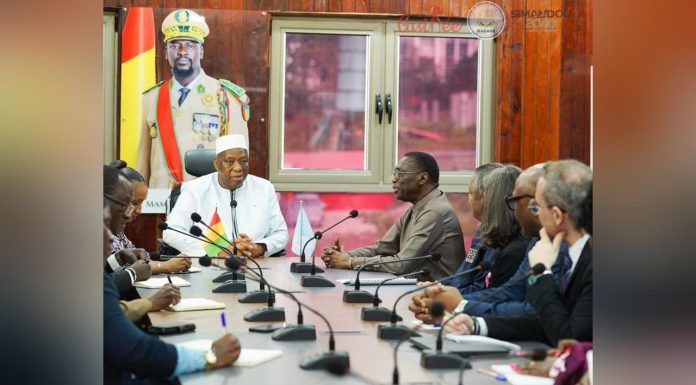 Guinée, un Exemple Mystique pour L’Afrique Selon L’Onu Guinée, un Exemple Mystique pour L'Afrique Selon L'Onu