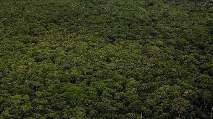 COP32 Accueillie par L'Éthiopie en 2027 COP32 Accueillie par L'Éthiopie en 2027