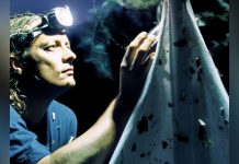 Insectes: Sources de leur Déclin Vertigineux Insectes: Sources de leur Déclin Vertigineux