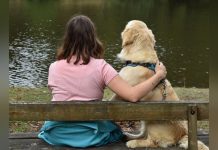 Gènes Comportementaux Partagés avec les Golden Retrievers Gènes Comportementaux Partagés avec les Golden Retrievers
