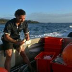 Traque High-Tech des Requins en Australie Traque High-Tech des Requins en Australie