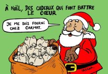 Cœur Artificiel: 2026 Cruciale pour Nouveau Carmat Cœur Artificiel: 2026 Cruciale pour Nouveau Carmat