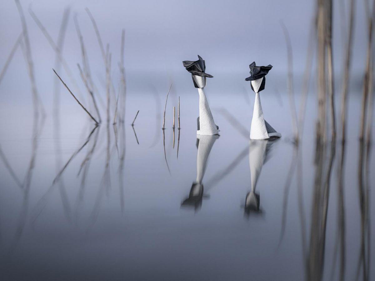 Origami Sauvage: Pliages Poétiques D’Animaux Origami Sauvage: Pliages Poétiques D’Animaux